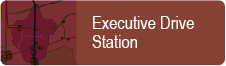 Executive Icon