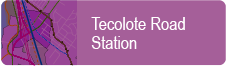 Tecolote Icon